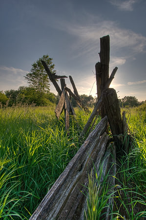 Cedar Fence