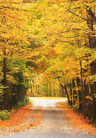 Fall at Presqu'ile